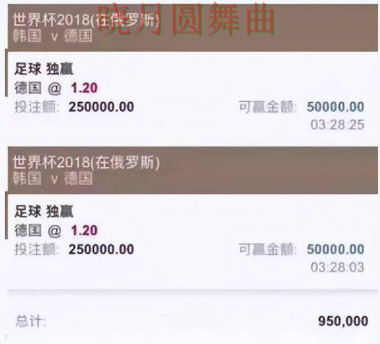 世界杯投注平台决赛赛前数据怎么看